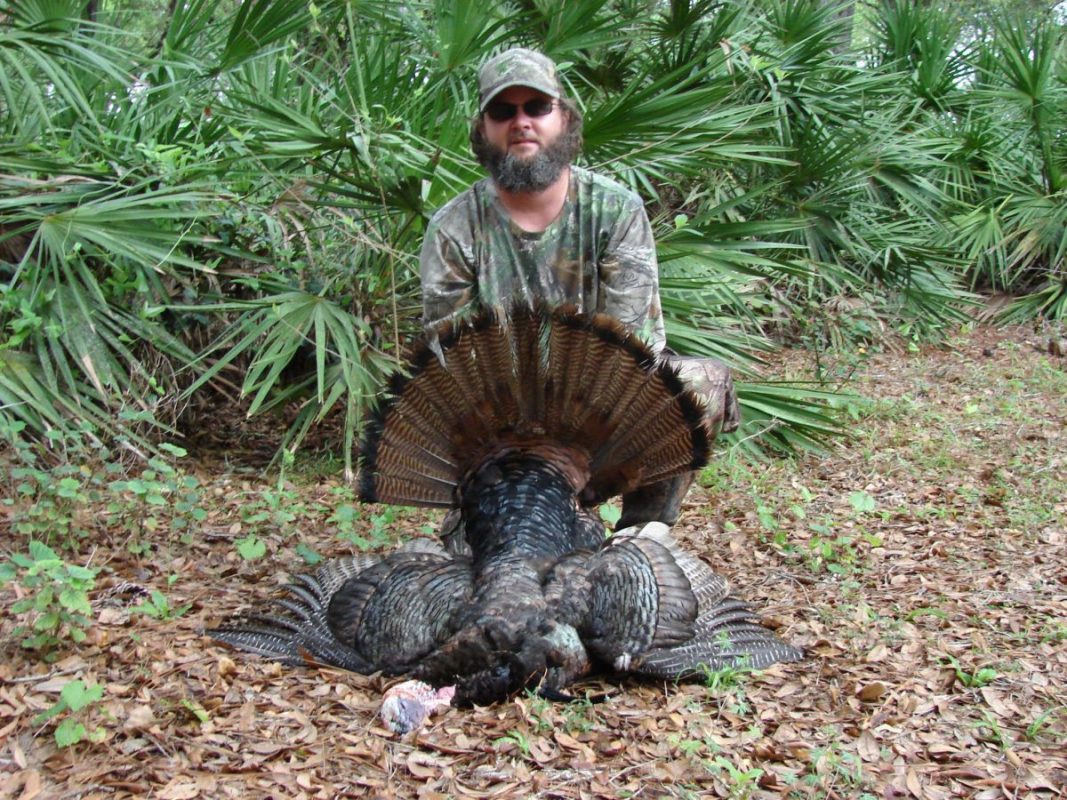 Turkey Hunting In Osceola
